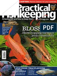 Top fin teapot house bubbler aquatic decor 5 in x 4 in 4 in aquarium decoration. Practical Fishkeeping 2018 03 Pdf Fishkeeping Aquarium