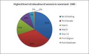 ielts exam preparation writing task one pie charts