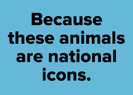 Community contributor can you beat your friends at this quiz? I Bet You Can T Score 40 50 On This Mammoth Aussie Trivia Quiz