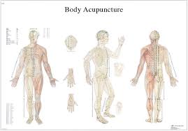 acupressure chart reviews smarter healing