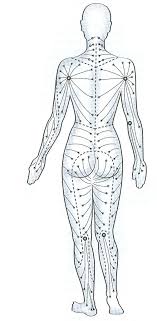 Systeme Lymphatique Dos Lymphatic Drainage Massage Reflexology Massage Massage