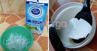 Galeri susu empat sehat lima sempurna. Begini Cara Buat Dadih Susu Full Cream Yang Sedap Berkhasiat Wanita Ini Kongsikan Resipinya Keluarga