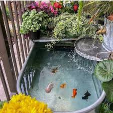Pin By Corina Yay On Gardening Indoor Water Garden Ponds Backyard Small Water Gardens