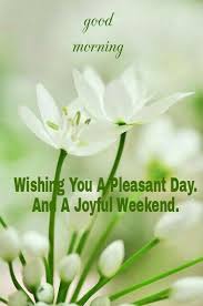 Happy Weekend Good Morning Saturday Happy Friday Morning Good Morning Wishes