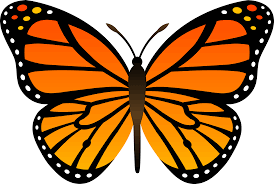 Collection of butterfly icons and symbols. Clip Art Butterfly Clipartiki Cliparting Com