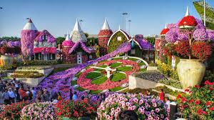 Dubai Miracle Garden - Experience the Magic