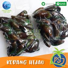 We did not find results for: Kijing Sawah