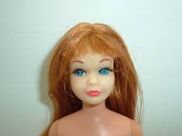 What type of doll is this, possibly Skipper or Jazzie, with a flexible  waist?