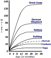 63 Genuine Rottweiler Weight Calculator