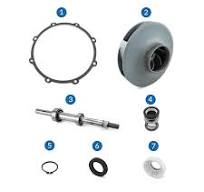 Kit de reconstrucción de la bomba de sello mecánico (B3Z-CW)