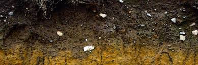 Guide to Soil Types | Estabrook's