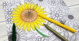 If you want to fill colors in adult sunflower pictures & you can make it more beautiful by filling your imaginative colors. Sunflower Colouring Page Mum In The Madhouse