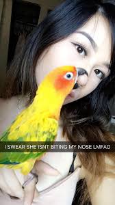 Boy swings from mom's nose ring like Tarzan