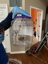 When pests are your problem, anchor is the solution. Anchor Pest Control 733 State Route 18 East Brunswick Nj Pest Control Mapquest