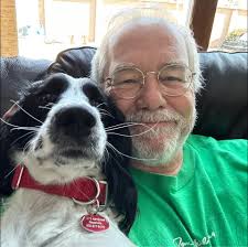 Bald eagle with patchy tail feathers in Southern Ontario