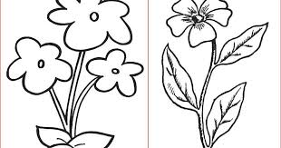 30 Gambar Sketsa Bunga Yg Mudah Digambar 30 Gambar Sketsa Bunga Mudah Bunga Matahari Mawar Tulip Download 9 Cara Untuk Menggambar Bung Di 2020 Sketsa Bunga Gambar