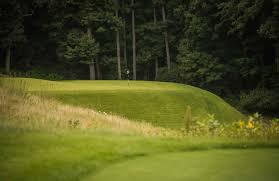 Image result for Lawsonia