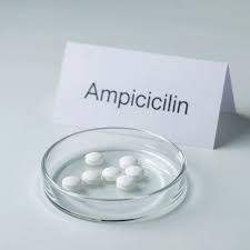 Image result for Ampicillin