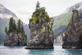 The glacial runoff and moss. Alaska National Park Feature Kenai Fjords National Park Princess Lodges