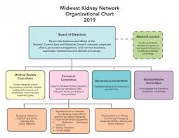 Organizational Structure Midwest Kidney Network Mi Mn
