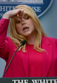 During a White House Press Briefing