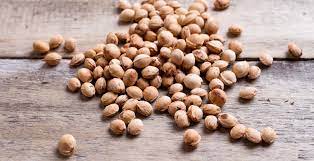 Sabina und tim kommen auch. Wie Stelle Ich Ein Kirschkernkissen Selber Her Und Wende Es Richtig An