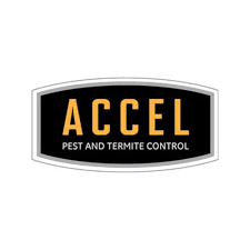 Do you have a pest problem in virginia beach? 20 Best Norfolk Pest Control Companies Expertise Com