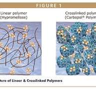 CARBOMER CHEMISTRY - Breaking Ground in Controlled Release