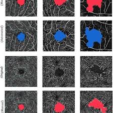 Image result for tbn:aqZFW7SvBdifiM::www.azooz.net/data/media/11/azooz_net_3_2009%2520(104).jpg