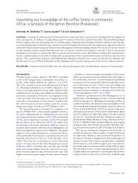 Image result for Pyrostria phyllanthoidea