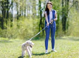 Promener Son Chien Procure Un Sentiment De Securite Actualite Chien Santevet