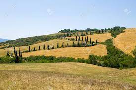 Find photos of italian landscape. Tuscany Hills View Italy Italian Landscape Toscana Stock Photo Picture And Royalty Free Image Image 127531337