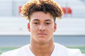 Week 9 SportsDayHS offensive player of the week: Celina RB Gabe Gayton