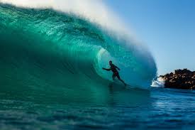 A surfer has recalled the moment he punched a great white shark in the eye after it attacked him and clamped its jaws onto his surfboard. These Are A Few Of Jay Davies Favourite Things Stab Mag