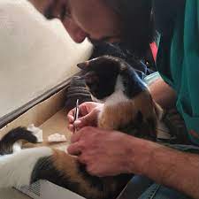 Uñas dramaticas vino / argentina fue eliminada y hubo una. Pin On Catofday