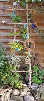 Bepflanzung Pflanzen Baum Blumen Sichtschutz Garten Mehrjahrige Pflanzen Sukkulente Wustenpflanzen Pflanzideen Gart Diy Garden Garden Design Driftwood