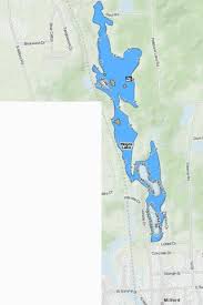 Moore Lake Fishing Map Us_mi_63_149 Nautical Charts App