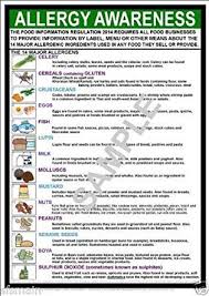 Food Allergy Awareness A3 Laminated Poster