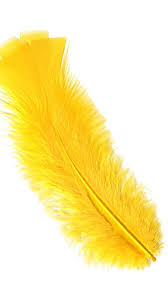 Black And Yellow Sign Meaning Yellow Feather Meaning Yellow Feathers Are Often A Reminder To Be Cheerful And Light Hearted To Be Present Ale Feather Meaning Yellow Feathers Feather Magic