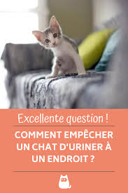 Repulsif Pour Chat Remede De Grand Mere En 2020 Chat Uriner Animaux