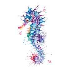Seahorse Painted With Watercolor Seahorse Painting Seahorse Art Seahorse Drawing