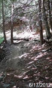 Hit your f11 key for the full effect. Red Creek Trailhead Dolly Sods Wilderness Monongahela National Forest Dry Run West Virginia Hiking And Walking Trailheads On Waymarking Com