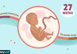 27 Weeks Pregnant Baby Development Symptoms And More