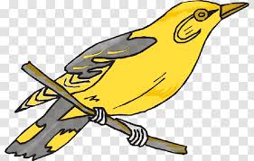Often hunkered down in the grasses, the eastern meadowlark may surprise a casual observer: Finches Clip Art Zebra Finch Bird American Goldfinch Saffron Songbird Transparent Png