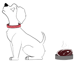 Hospitality hostility: SRJC students share their waitstaff horror stories