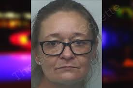 Sonya Hampton — Lanier County Jail Bookings