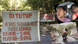 D'haven@ sendat is a charmingly crafted camping park nested at the fringe of hutan lipur sungai sendat. Hutan Lipur Sungai Sendat Ulu Yam Selangor By Zulkhairi Abdul Rahman