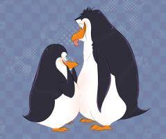Search, discover and share your favorite penguins of madagascar gifs. Rico X Private By Willythepenguin Penguins Of Madagascar Penguins Madagascar