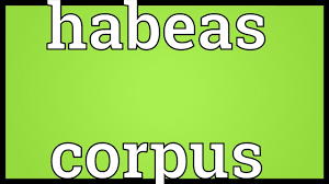 But habeas corpus is an exception and anybody on behalf of the detainee can file a petition. Habeas Corpus Meaning Youtube