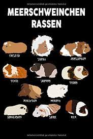 48 видео 202 просмотра обновлен 14 мар. Meerschweinchen Rassen Tolles Meerschwein Notizbuch Mit Gepunkteten Seiten Eintragen Von Notizen Terminen Futterungszeiten Mehr 6x9 15 24 X Die Meerschweine Haben German Edition Notizbucher Und Mehr Meerschweinchen 9798606158683